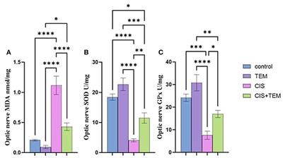 Tempol improves optic nerve histopathology and ultrastructures in cisplatin-induced optic neuropathy in rats by targeting oxidative stress—Endoplasmic reticulum stress—Autophagy signaling pathways